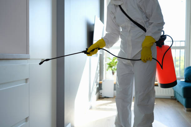 Best Residential Mold Inspection & Testing  in Winchester, MO