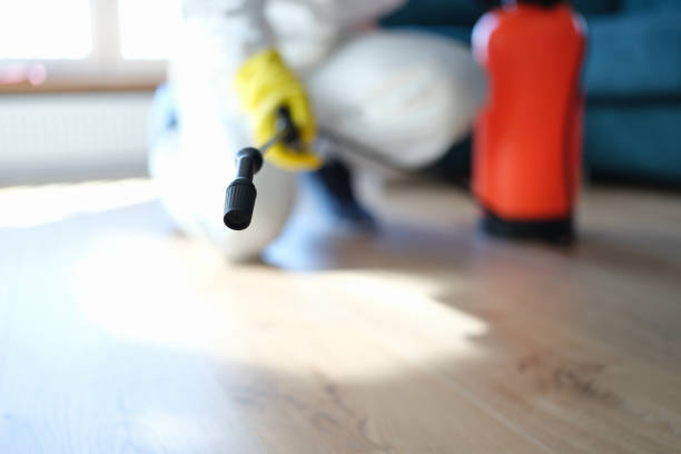 Best Crawl Space Mold Remediation  in Winchester, MO
